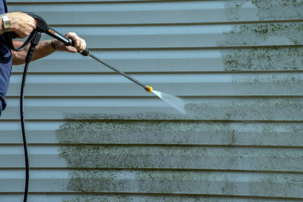 Best Building Exterior Pressure Washing in Rocky Point, NY